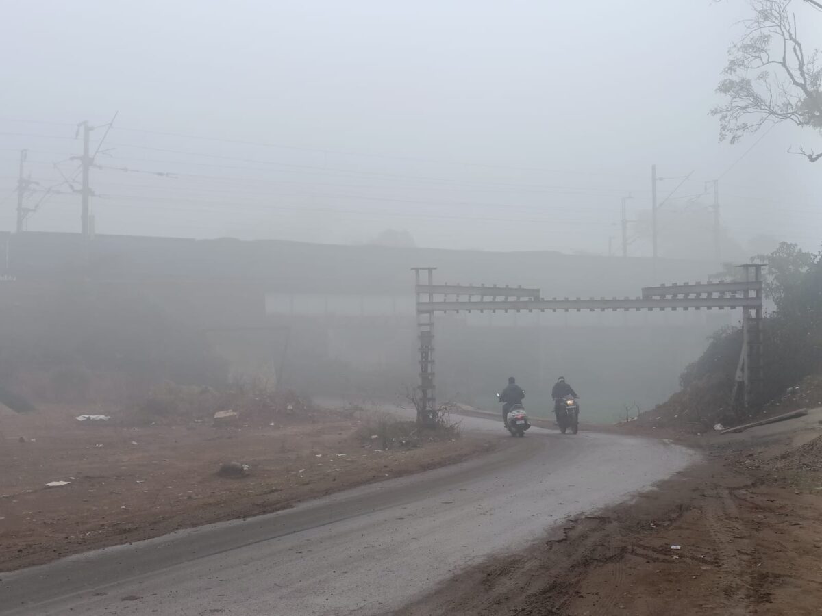 Fog in katni
