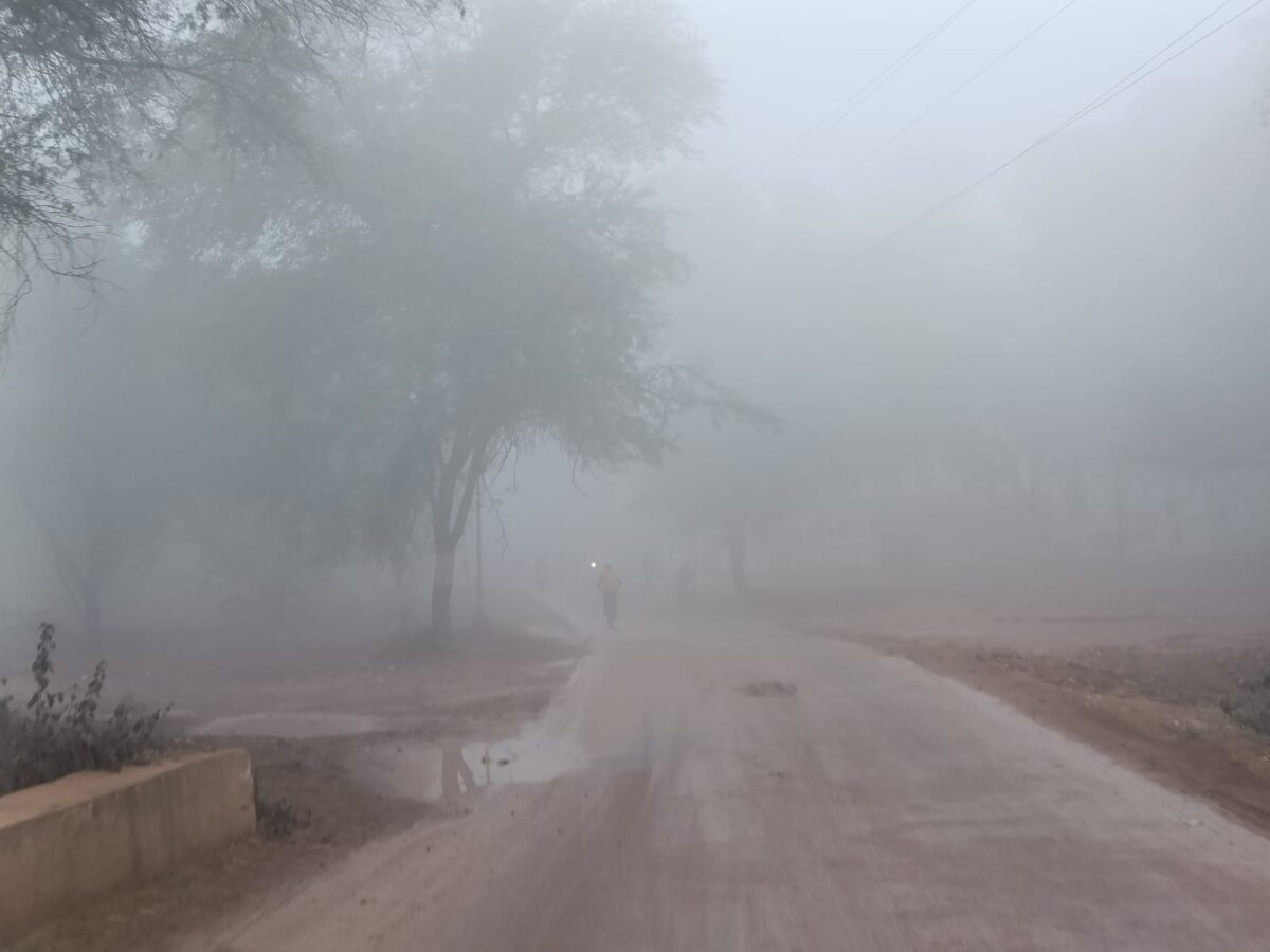 Fog in katni