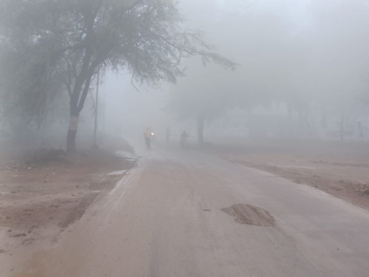 Fog in katni