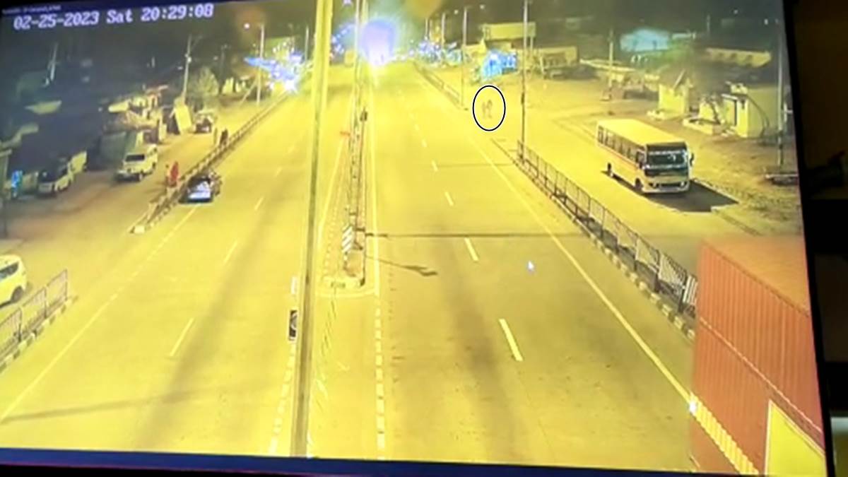 Accident In Seoni : जबलपुर- नागपुर राष्ट्रीय राजमार्ग पर हादसा CCTV में कैद, पांच वर्षीय बालिका समेत दो अन्य लोग घायल 22 Accident In Seoni : जबलपुर- नागपुर राष्ट्रीय राजमार्ग पर हादसा CCTV में कैद, पांच वर्षीय बालिका समेत दो अन्य लोग घायल