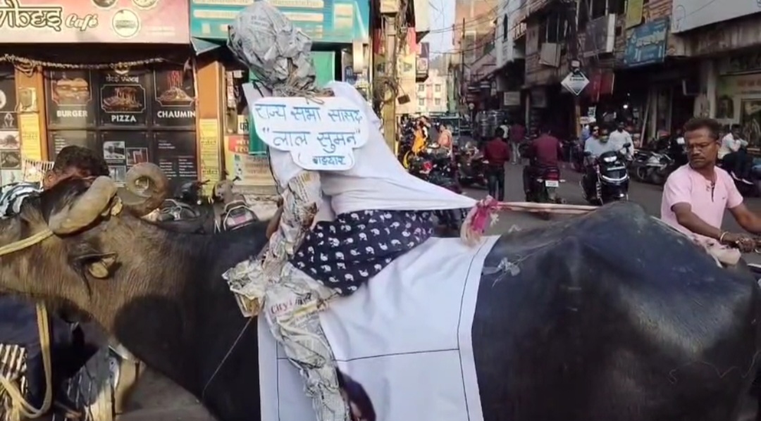 राणा सांगा पर विवादित बयान के विरोध में क्षत्रिय समाज का प्रदर्शन, भैंस पर बैठाकर निकाली सांसद की प्रतीकात्मक बारात, किया पुतला दहन 22 राणा सांगा पर विवादित बयान के विरोध में क्षत्रिय समाज का प्रदर्शन, भैंस पर बैठाकर निकाली सांसद की प्रतीकात्मक बारात, किया पुतला दहन