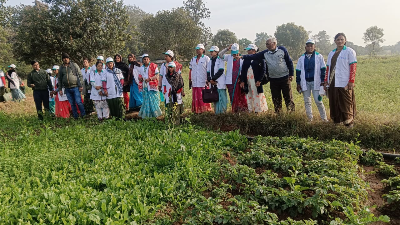 स्व सहायता समूह की महिलाओं को डेयरी एवं जैविक कृषि फार्म का अवलोकन कराया गया 23 स्व सहायता समूह की महिलाओं को डेयरी एवं जैविक कृषि फार्म का अवलोकन कराया गया
