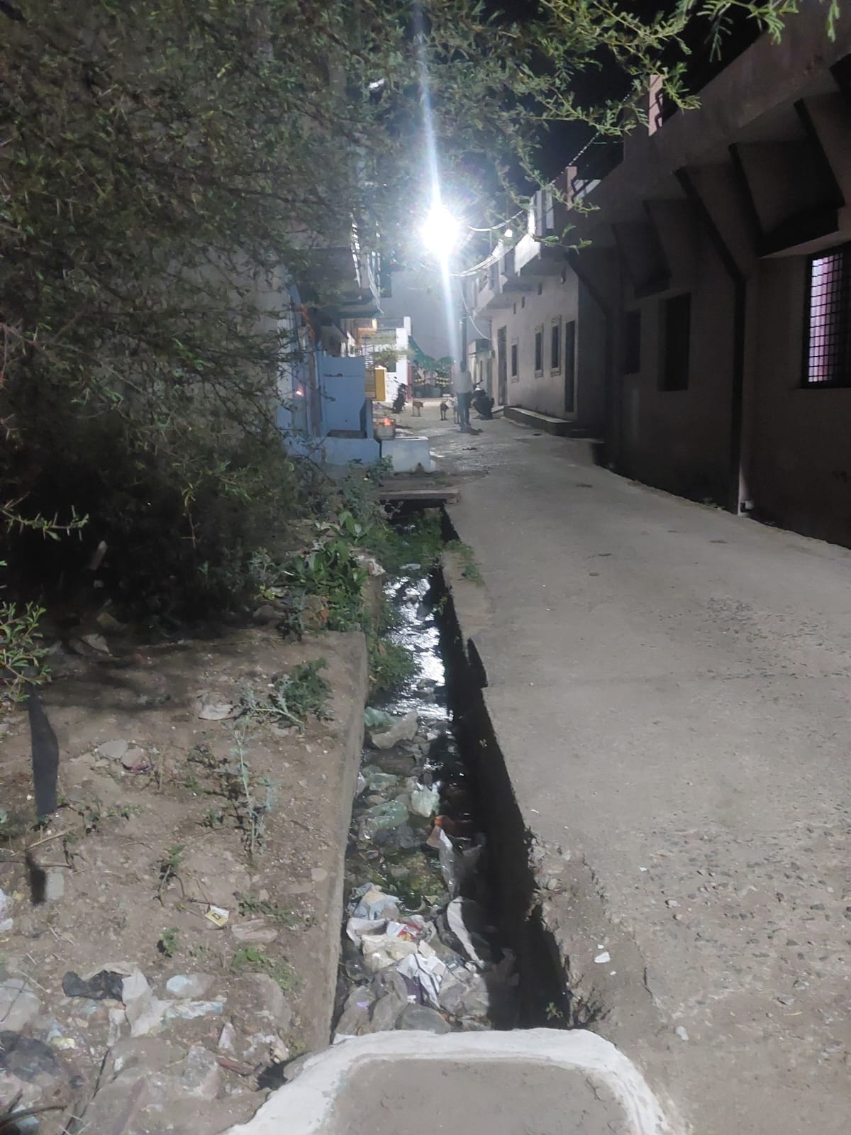 बाबू जगजीवन राम वार्ड की सफाई व्यवस्था मे लगा ग्रहण